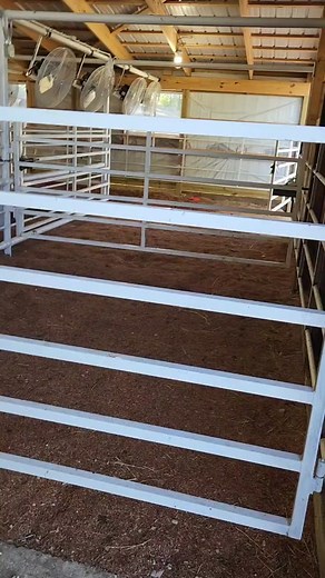 Show Cattle Barn Remodel Ideas