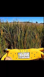 258K views · 2.4K reactions | Mowing Super Tall Thick Grass! #Amazing #satisfying #asmr | Something 2LookAt | Facebook