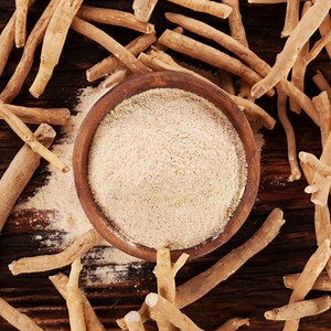 Ashwagandha Extract Powder Manufacturers Wholesale Bulk Suppliers in USA