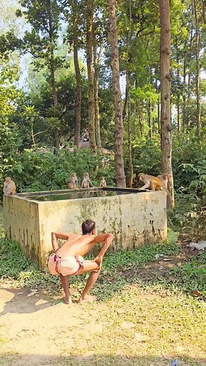 monkey funny video 44 | Mar Best