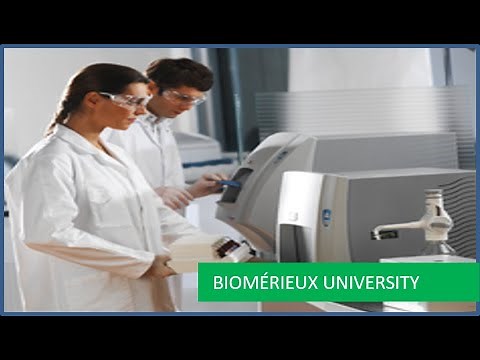 TEMPO: Preparing Dilutions