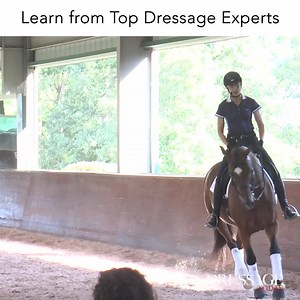Get your FREE TRIAL for 10 Days! ✅Over 3,000 Videos On Demand ✅Watch Anywhere, Anytime ✅Top Trainers and Riders Whether you’re looking to better your basics or polish your Grand Prix movements, Dressage Today can help you reach those goals Hurry this deal won't last long! 🐎💨 | Dressage Today