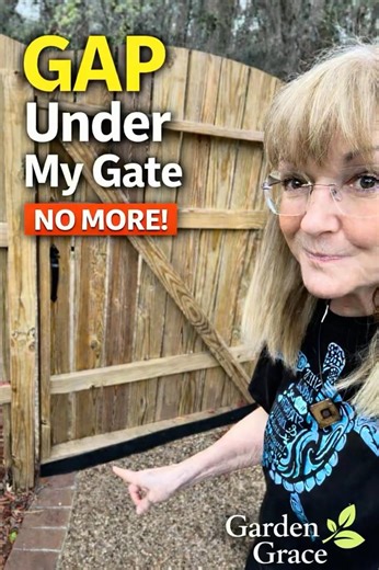 They Were Getting In Under My Gate