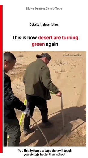 🌵 This is how desert 🌱 are turning green again 💧| MDCT