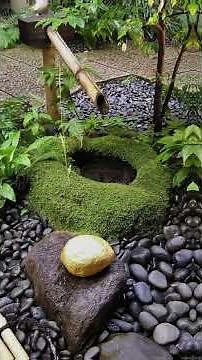 CREATE A JAPANESE GARDEN AT HOME WITH JUST 3 THINGS!