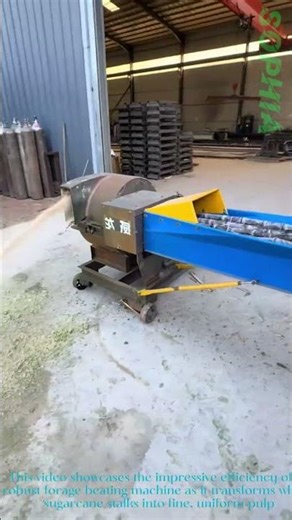 Satisfying Sugarcane Processing: Powerful Forage Beating Machine in Action