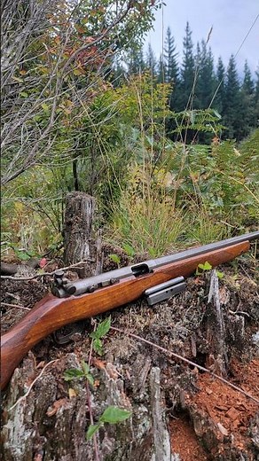 22 Shooting: H&R Model 65 REISING #guncollection #shootingtime #22longrifle