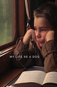 My Life as a Dog (1985) - AZ Movies