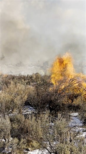 Firefighters from the Bureau of Land Management - Idaho Boise District and partner agencies are conducting pile burns, both manually and using an unmanned aircraft system (drone), in the Owyhee Mountains as part of the ongoing Bruneau-Owyhee Sagegrouse Habitat (BOSH) Project. The multi-year BOSH Project involves cutting encroaching juniper, thus reducing heavy fuel loads which not only improves sagegrouse habitat, but creates a healthier water table, strengthens the sagebrush ecosystem, and lowe