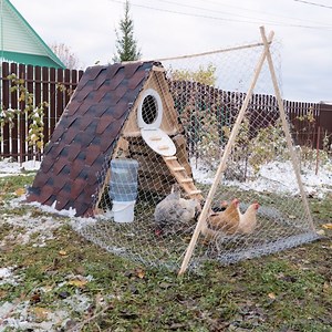 Turn wood into dream homes for your animals! | 5-Minute Recycle