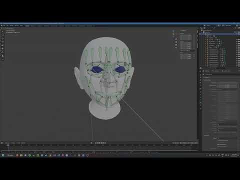 Face Rig