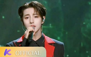 【4K60帧】201128 AAA 2020 Asia Artist Awards舞台表演合集