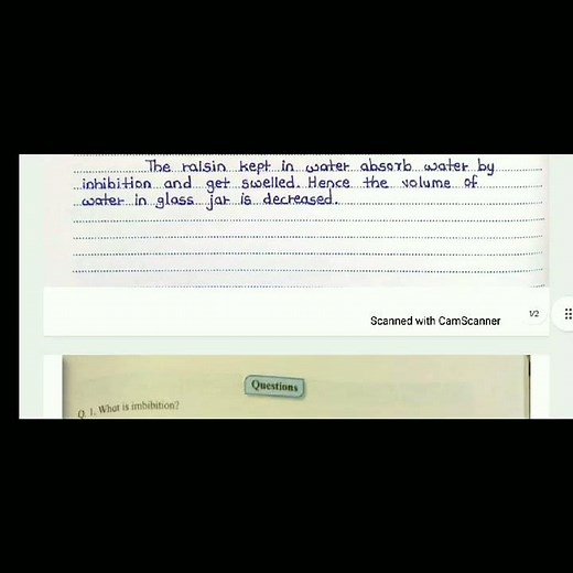 Biology || Experiment No. : B 03 || 12th Standard || Answers