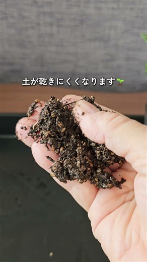 For anyone whose houseplants have mushrooms growing in the soil 🍄 Check this out for solutions 🥰 ...