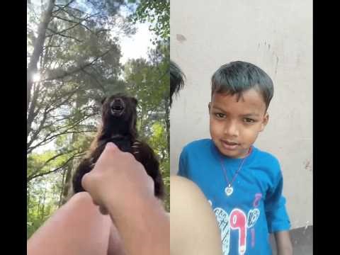 mrbeast toy #mrbeast #fans #trending #shorts