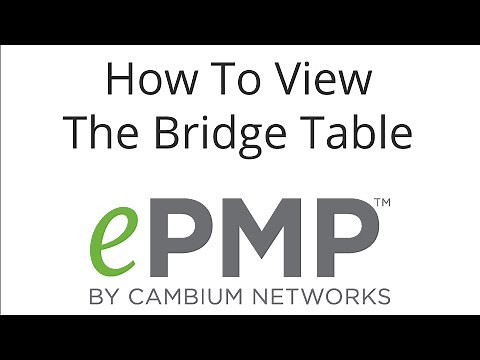How To View The Bridge Table
