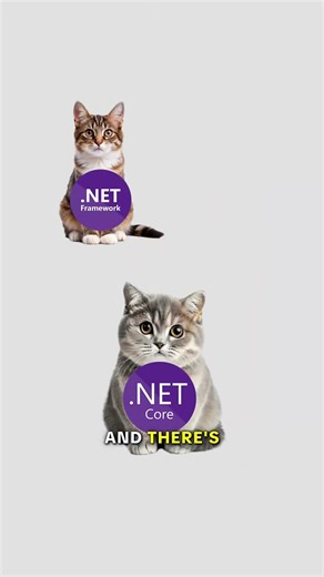 .NET vs .NET Framework, explained by cats. #cat #code #net #microsoft #csharp