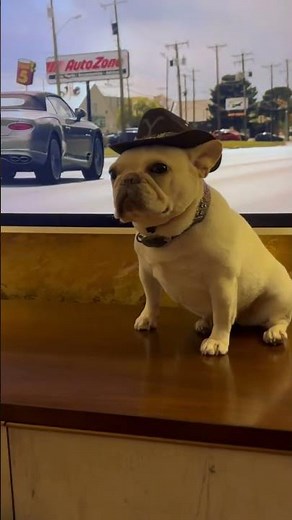 Hippie approves 🤠 We loved hearing "Hillbilly Hippie" on #Landman ❤️