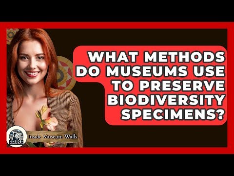 What Methods Do Museums Use To Preserve Biodiversity Specimens? - Inside Museum Walls