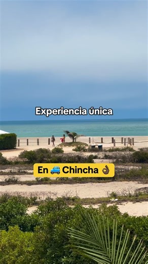 🏝️Experiencia Única en Chincha frente al Mar🏝️ 📍 Ubicado en la nueva panamericana sur, chincha baja ( playa chincha Paradise ) 🟢 Disfruta de un lugar exclusivamente privado para ti junto a los que más quieres 🩵 🟢 Tenemos paquetes para pareja, grupos grandes o pequeños 🟢 Casas & Villas frente al mar 🛜 Contamos con todos los servicios Más info sólo escríbenos 👉🏿📱 #peru #chincha #lugaresparaconocer #playa #hotel #casasdeplaya #verano #viaje #viajando #turismo #paracas #chinchaparadise #d