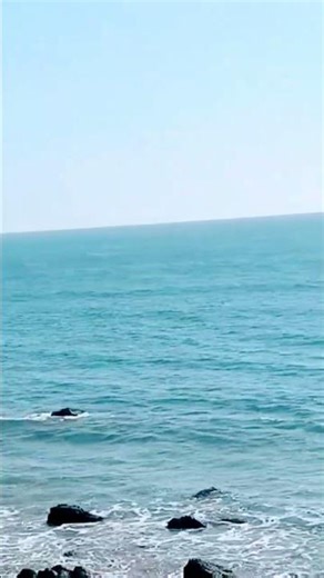 #goa beach ⛱️🏖️#goa #beach #travel #youtube #shortfeed #subscribe #reels #newreel #kailani #Maris