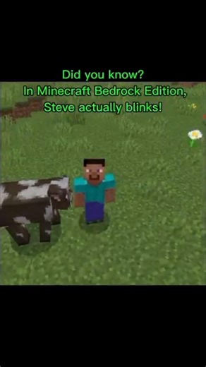 Steve can blink!😬 #minecraft