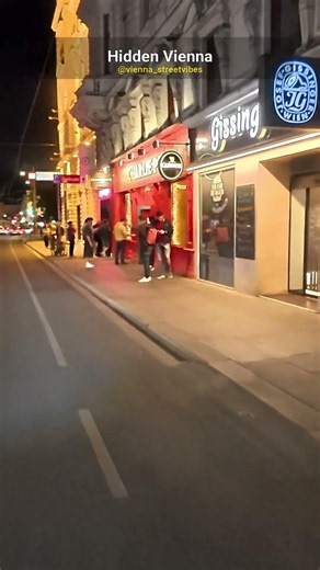 Lost in Vienna's Charm? 🤩 POV Walk Through Austria's Capital 🇦🇹 #Shorts