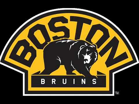 Goal Song For Boston Bruins wmv