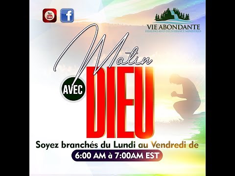Live Stream