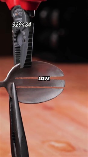 Fair Love: Using a Lottery System for Siblings