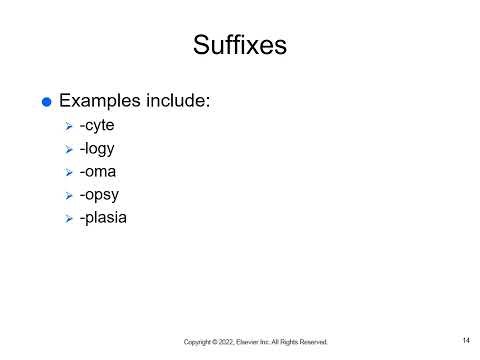 Medical Terminology: Chapter 2 Body Structure, oncology and lab