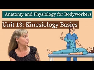 A & P Unit 13: Kinesiology Basics | MBLEx Prep