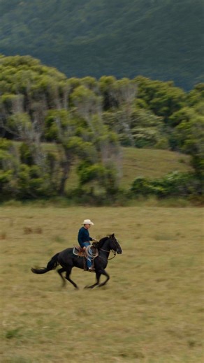 Experience stunning clarity and cinematic depth with the EOS C80’s 6K full-frame back-illuminated stacked CMOS sensor. See the difference. | Canon Canada | Facebook