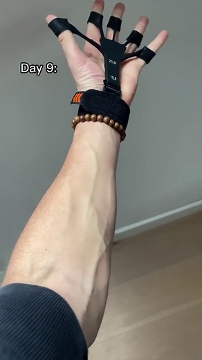 Official_Gripsters | LINK IN BIO❗️#transformation #veins #gripstrength #forearms #gymprogress #gym #gymtransformation #foryou #fyp #strength #veinscheck... | Instagram