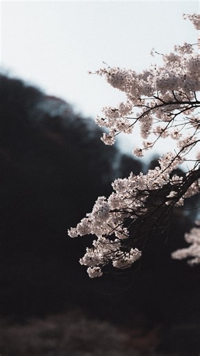 Pat Kay on Instagram: "Can we go back to this please? 🙏 ——— If taking photos for a living like this is something you aspire to, comment “mentorship” and I’ll send you a link to my new Creative Business Mentorship, coming out October 1st!"