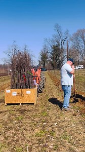 20K views · 305 reactions | Exciting News!  We’re Planting Apple...