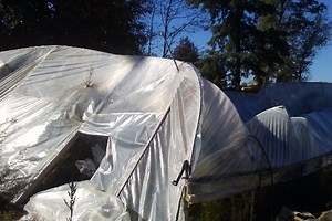 Donate to Please help rebuild our Farm., organized by Joseph Giangrande