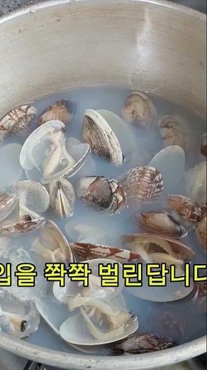냉동 바지락 쫙 벌어지게 삶는 방법 #바지락삶기 # 냉동바지락 # 바지락 캐기
