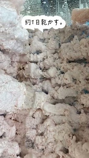 【大型ケージ】レイアウト作り#shorts #爬虫類