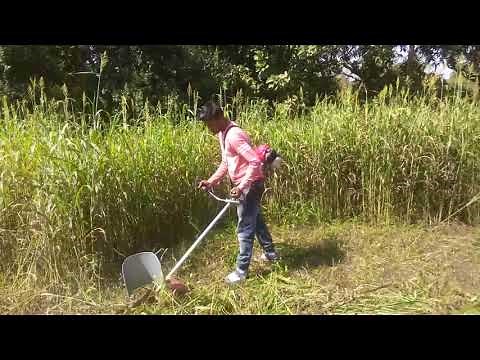 grass cutting machine