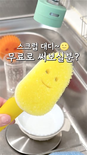 돌고 돌아 정착한 청소꿀템 디쉬대디