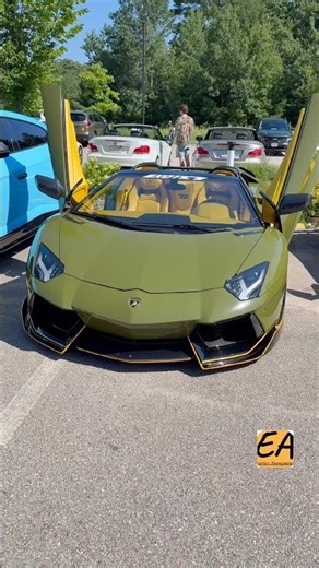 Is This the CRAZIEST Lamborghini Aventador Roadster in the World?