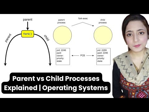 Parent vs Child Processes Explained | Operating Systems