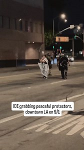 ICE gestapo grabbing peaceful protestors in downtown LA Metro Detention Center, 9/1. | Jack Jones