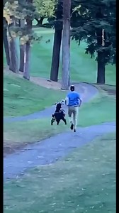 27K views · 322 reactions | Jerry blowing it on Masters week #GetInTheHole #GhostCaddie (www.jerryoftheday.net) | Jerry of the Day | Facebook