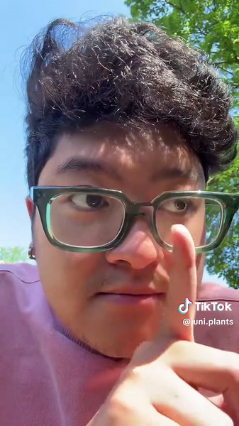 Creating a Beautiful Fairy Themed Garden with Ground Covers