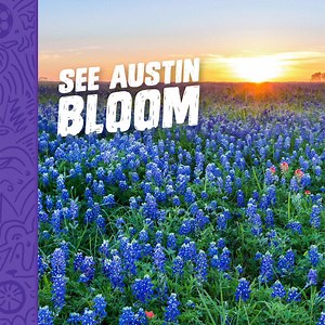 It’s Bluebonnet season in Austin. Find the best spots to see our iconic wildflowers. | Visit Austin, Texas