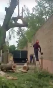 [50/50] (SFW) A delicious cherry pie | (NSFW) Guy gets his face caved in by tree branch