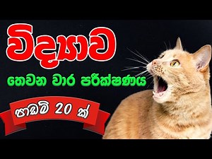 Grade 10 Science - 💯තෙවන වාර පරීක්ෂණය💯 - 3rd term test