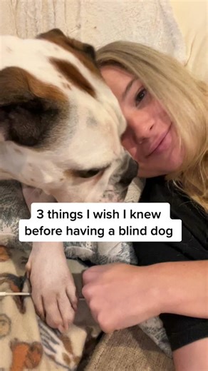 Helpful Tips for Caring for a Blind Dog